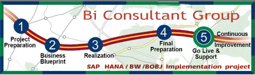 bi consultant group