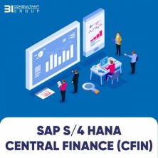 SAP S/4HANA Central Finance (cFIN )