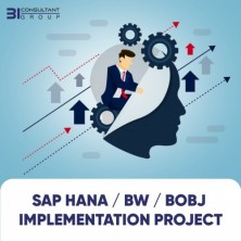 SAP HANA /BW /BOBJ Implementation Project