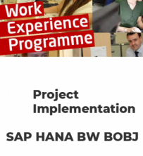 SAP HANA /BW /BOBJ Implementation Project