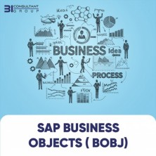 Business Objects Enterprise 4.1