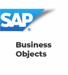 Business Objects Enterprise 4.1